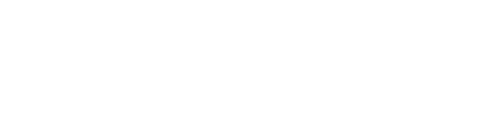 logo transparent white